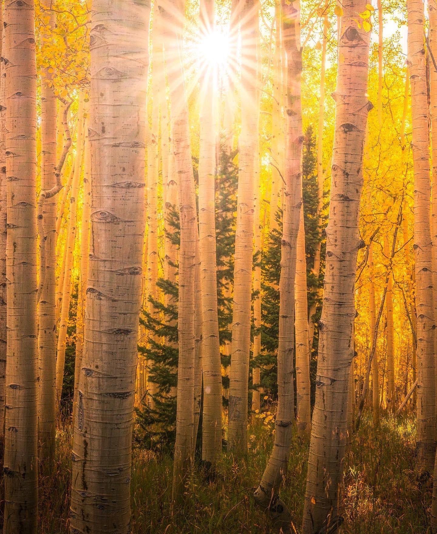 Gunnison History and Traditions! Jesse Ebner Crested Butte Real Estate